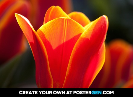 Glowing Tulip Print