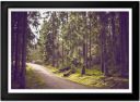 Pathway Through The Woods Print