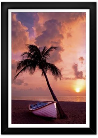 Palm Tree With Boat Print